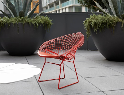 Outdoor Bertoia Diamond Chair and Schultz Petal Coffee Table Bertoia Diamond Chair Richard Schultz Petal Coffee Table outdoor community shared spaces
