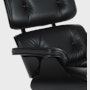 Eames Lounge Chair and Ottoman