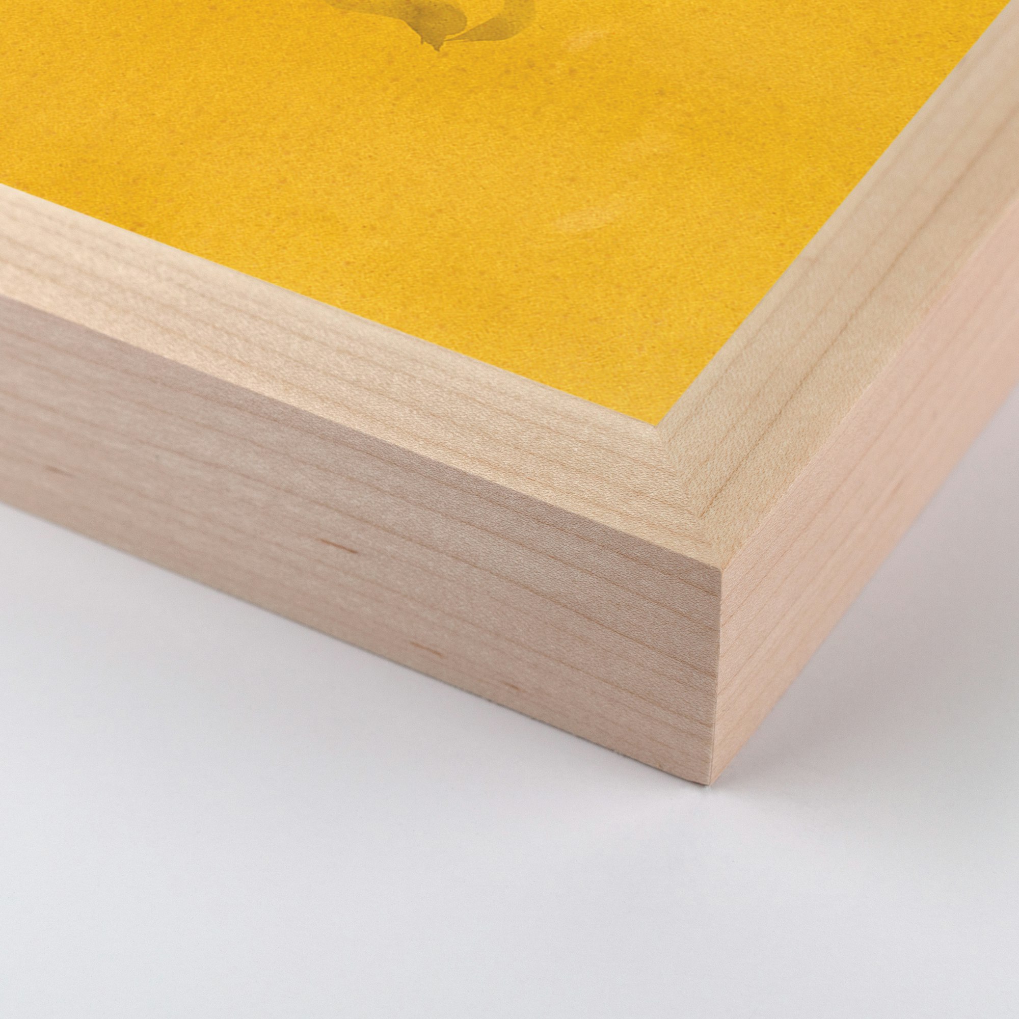 Dayspring - Kayla Plosz Antiel