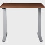 Motia Sit to Stand, T Leg, 24x36