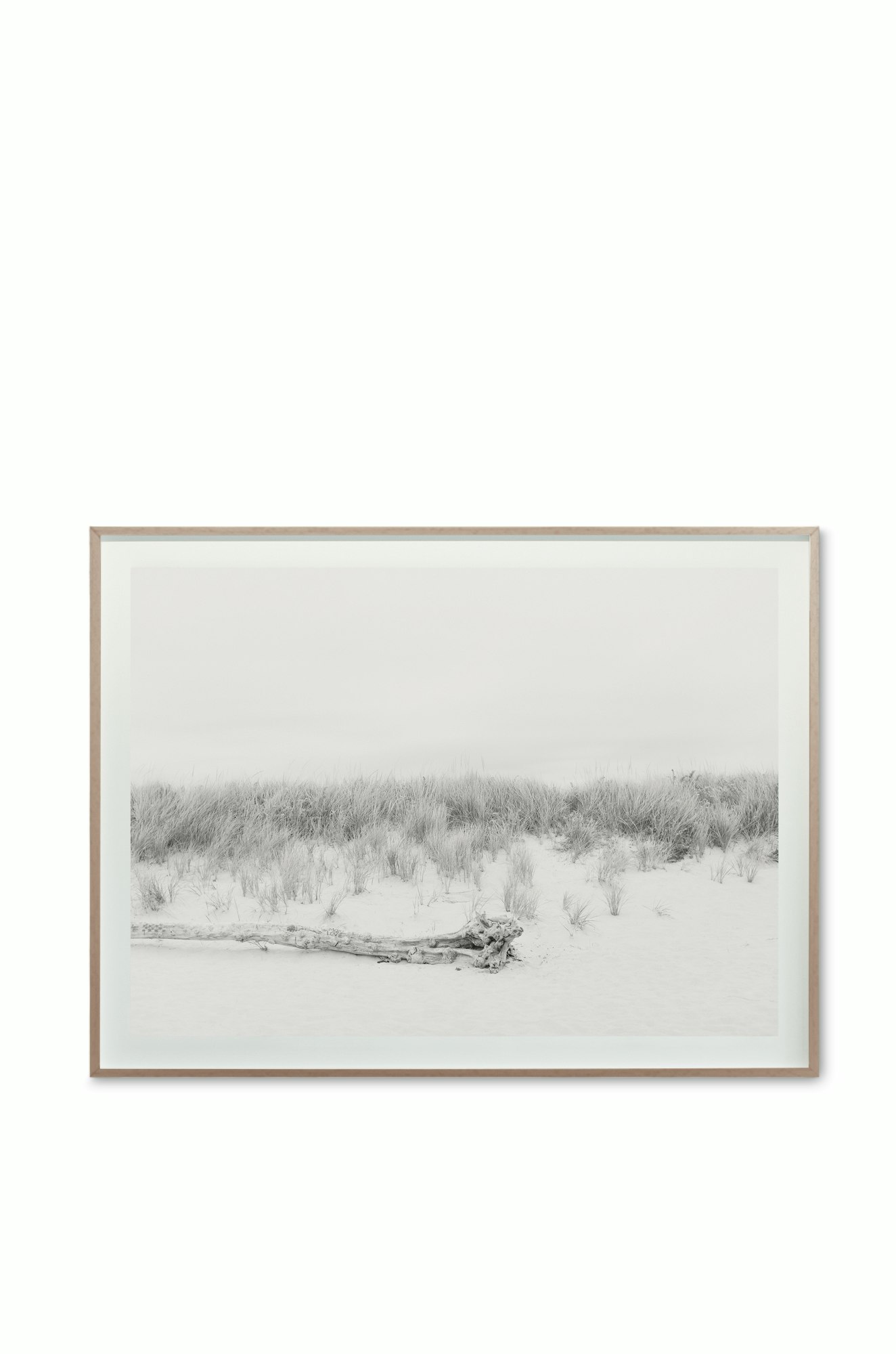 Cas Friese Dunes no.1420 - 30x40