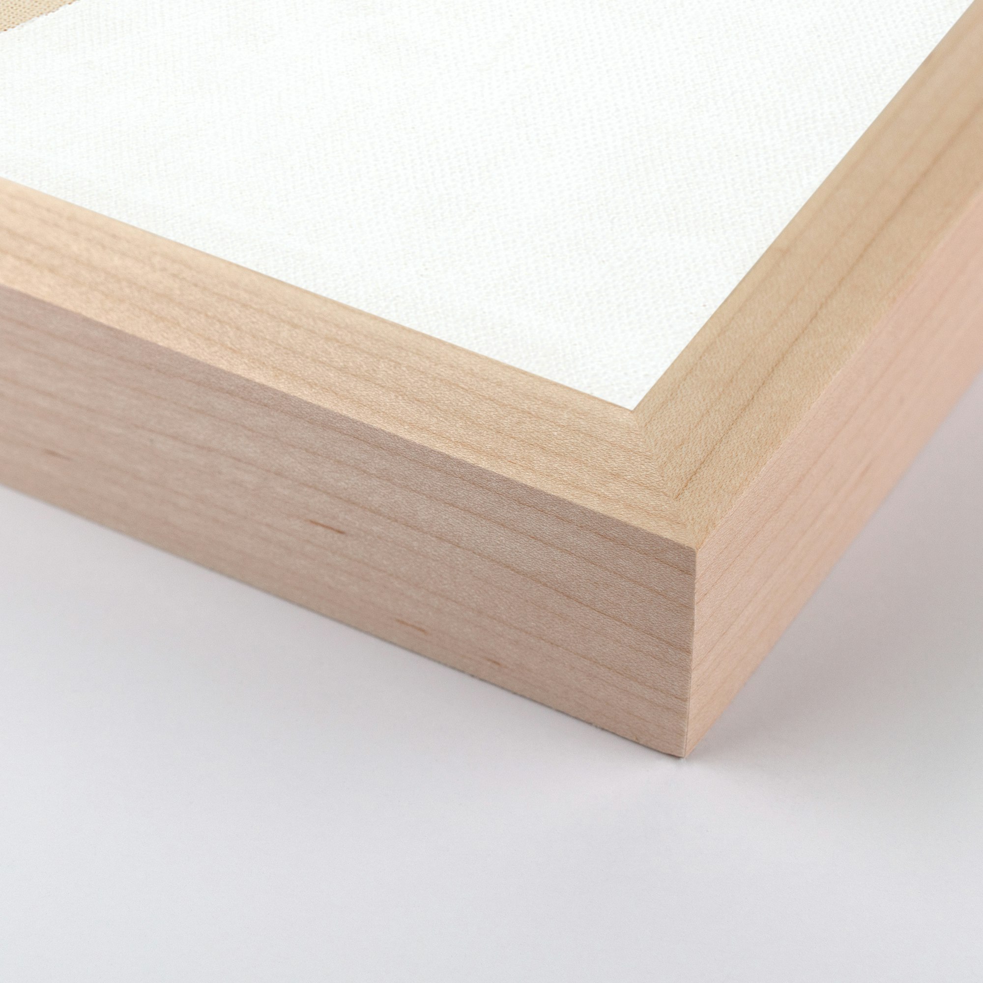 Small White Ray I by Aschely Vaughan Cone