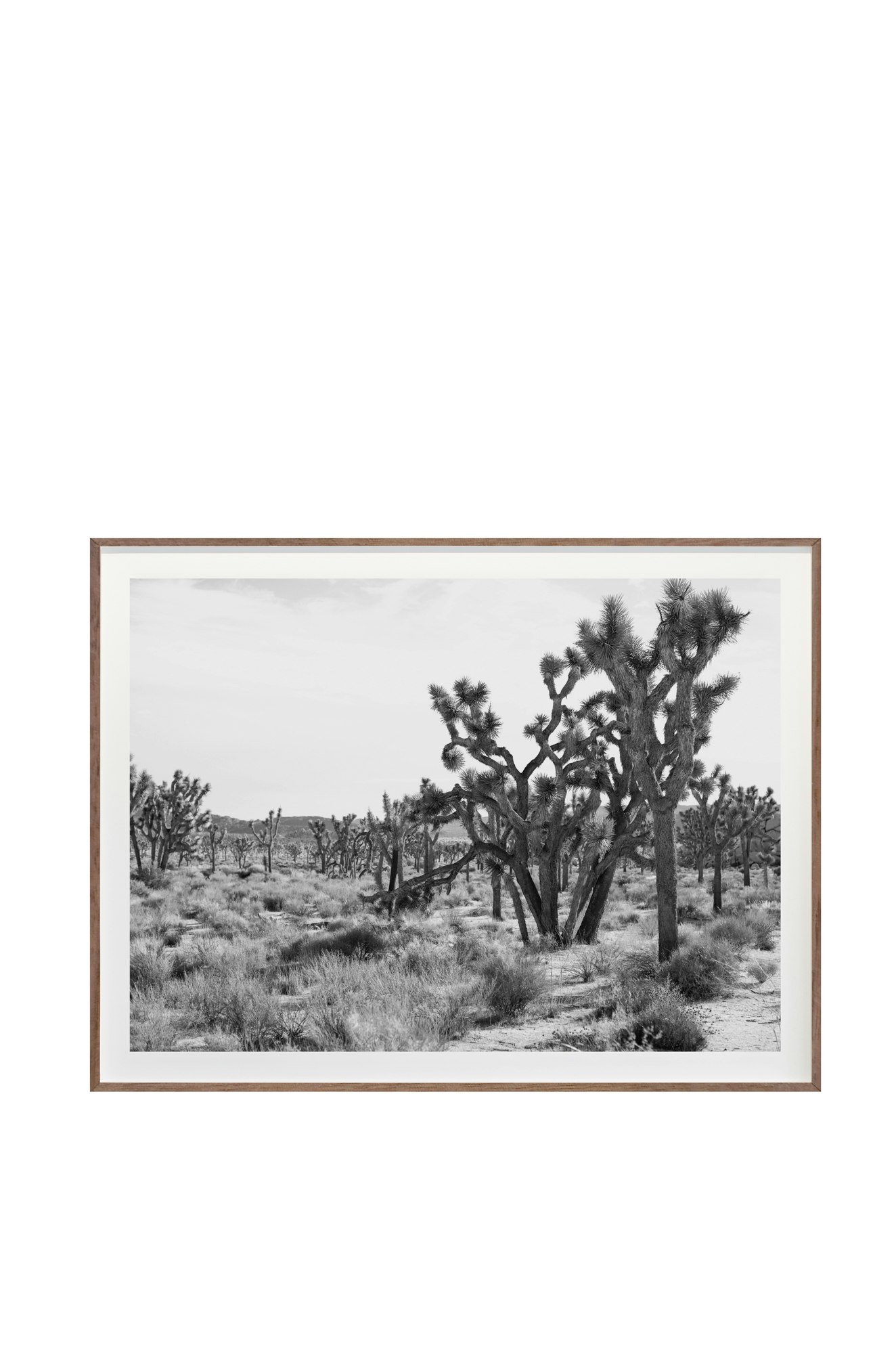 Jagged No. 3645 by Cas Friese,  52 x 72,  Walnut Frame