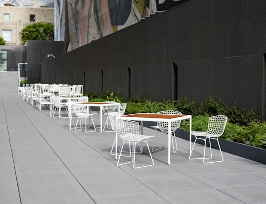 Outdoor Bertoia and Schultz 1966 Collection  Bertoia Side Chair Richard Schultz 1966 Dining Barstool 1966 Dining Table outdoor community shared spaces