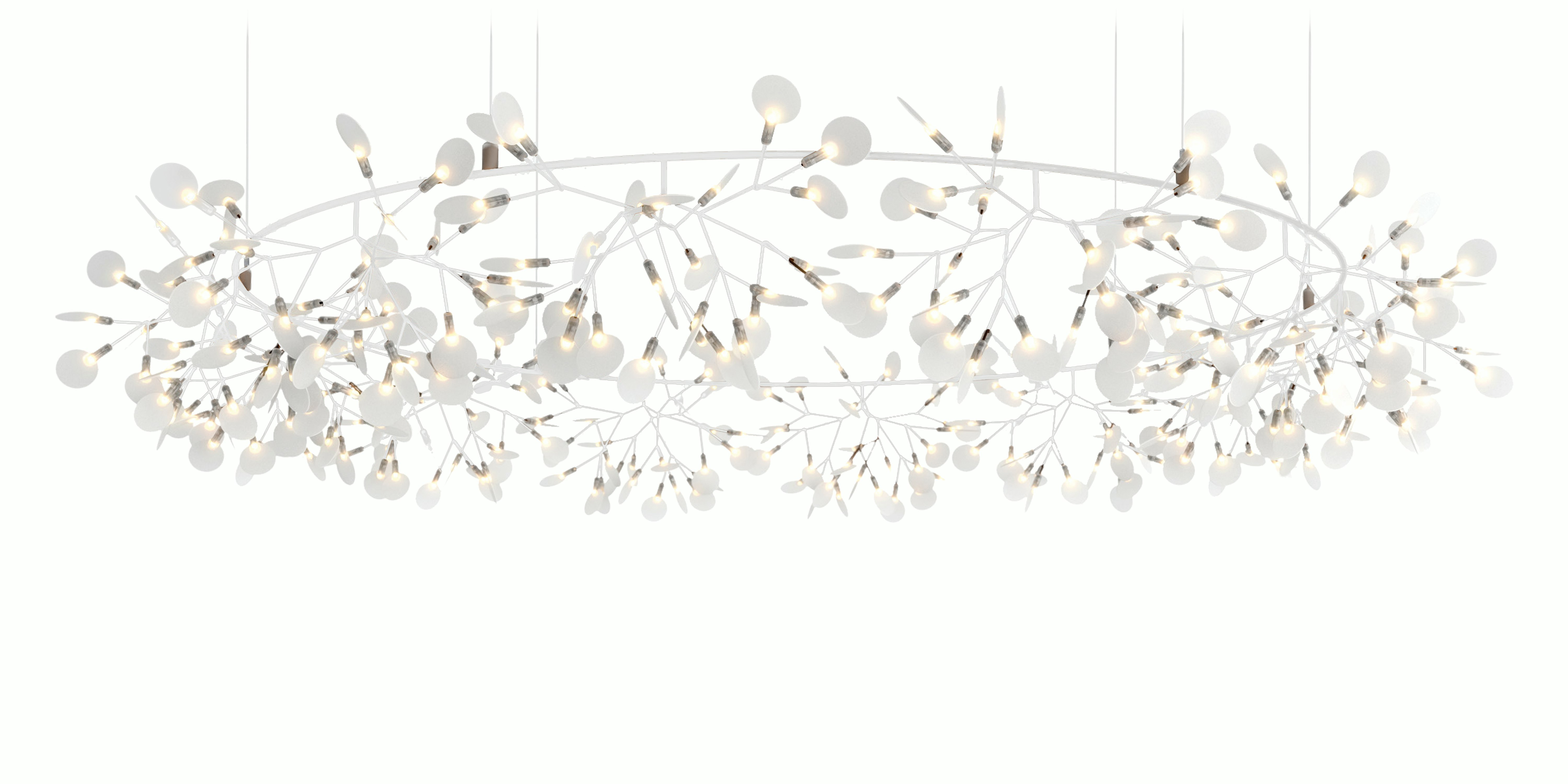 Heracleum III The Big O Pendant