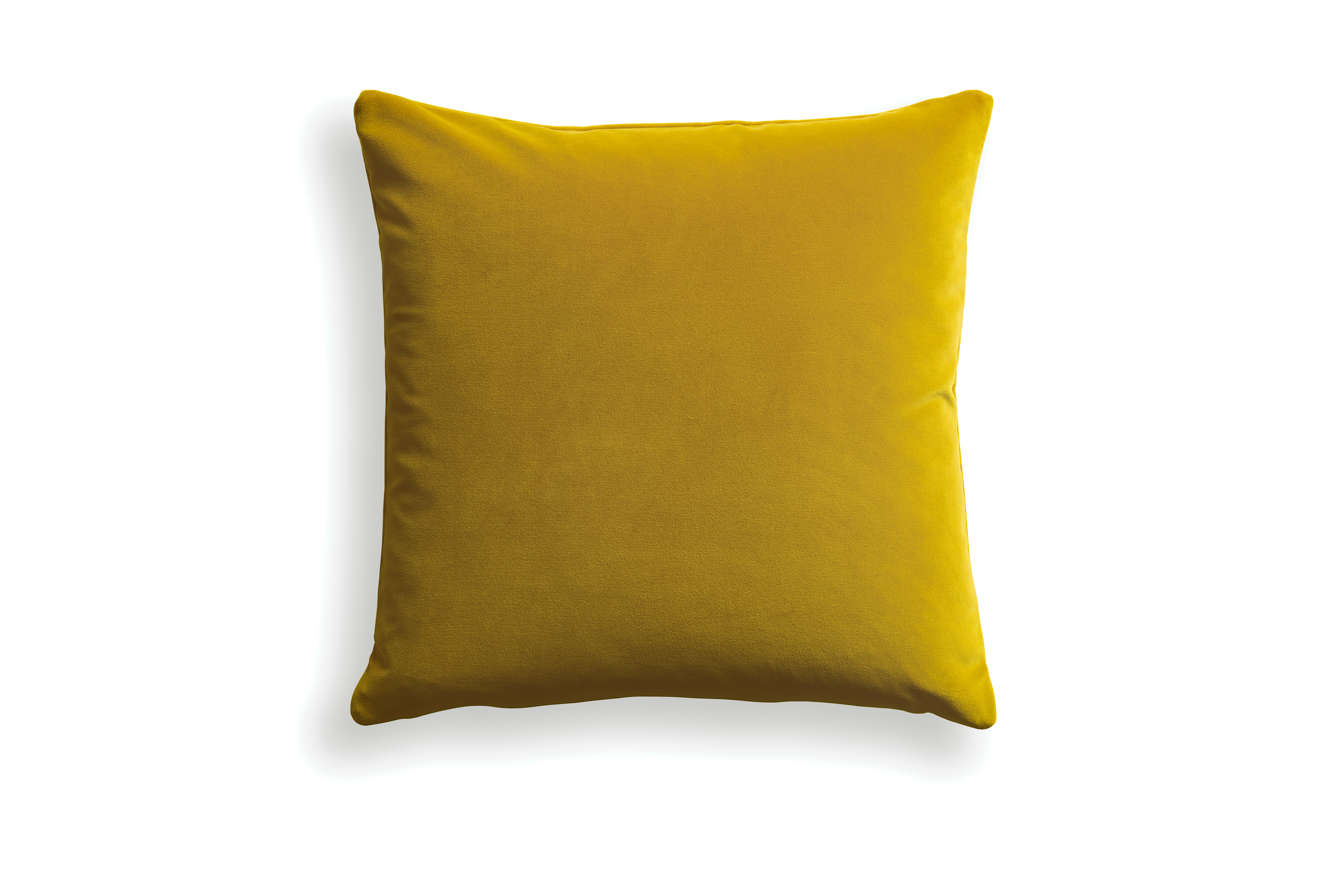 Velvet Pillow