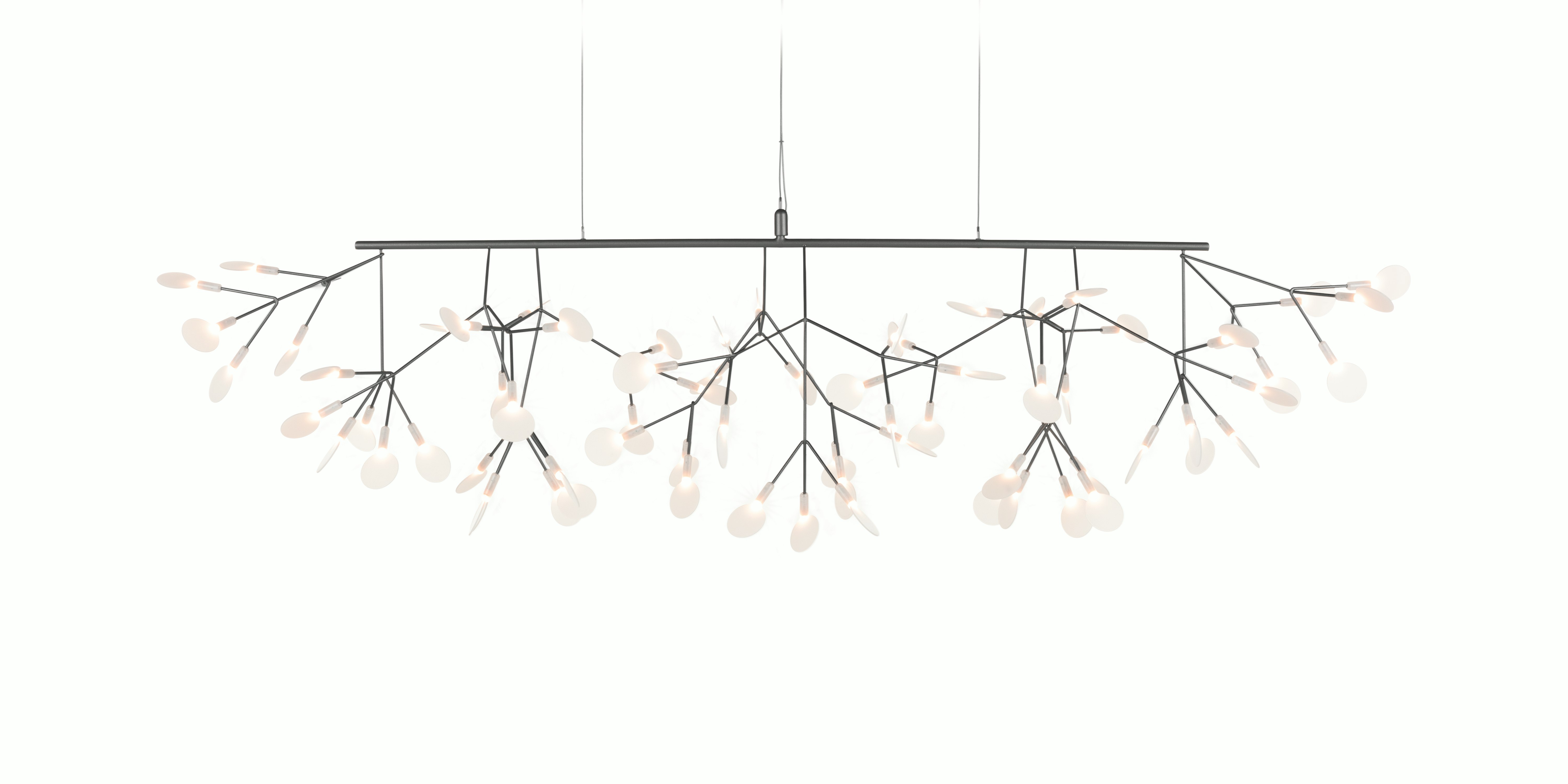 Heracleum Linear III Pendant