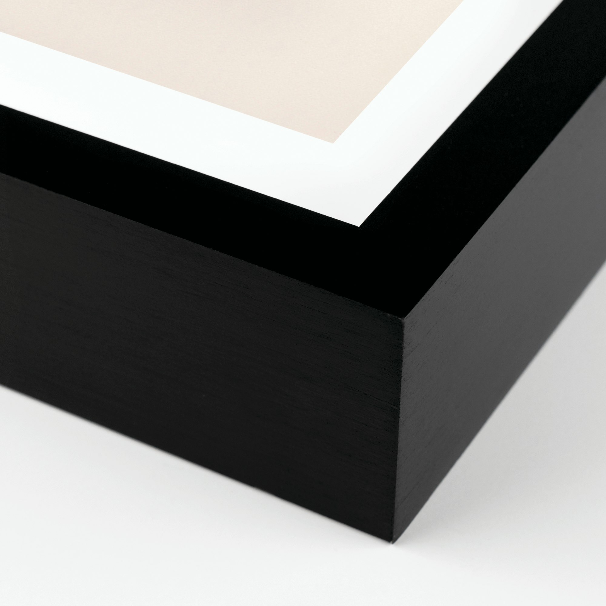 Shorthand for Being by Lydia Bassis