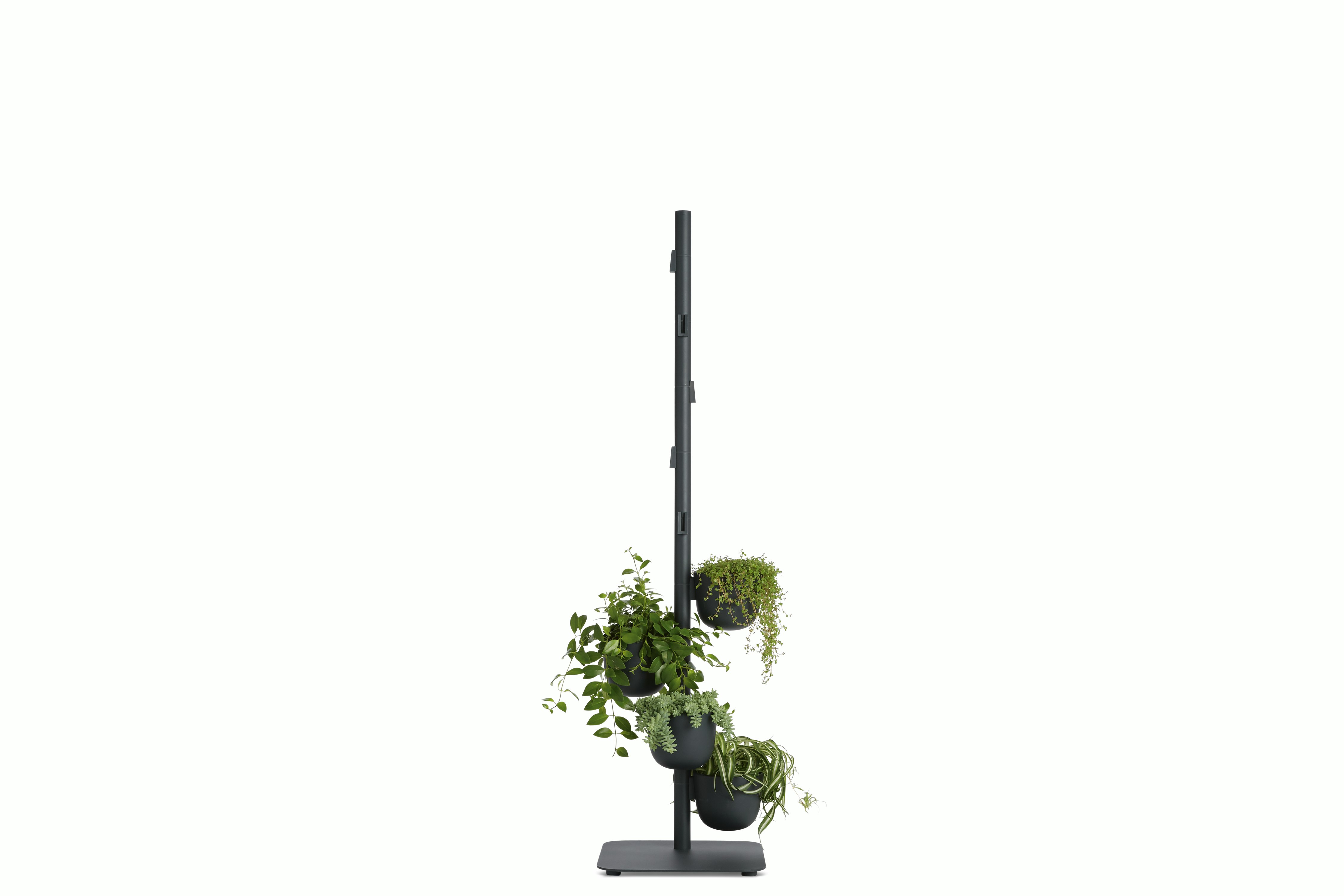 Story Planter