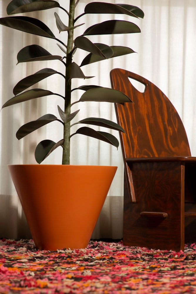 Monstruosus Planter Model Two