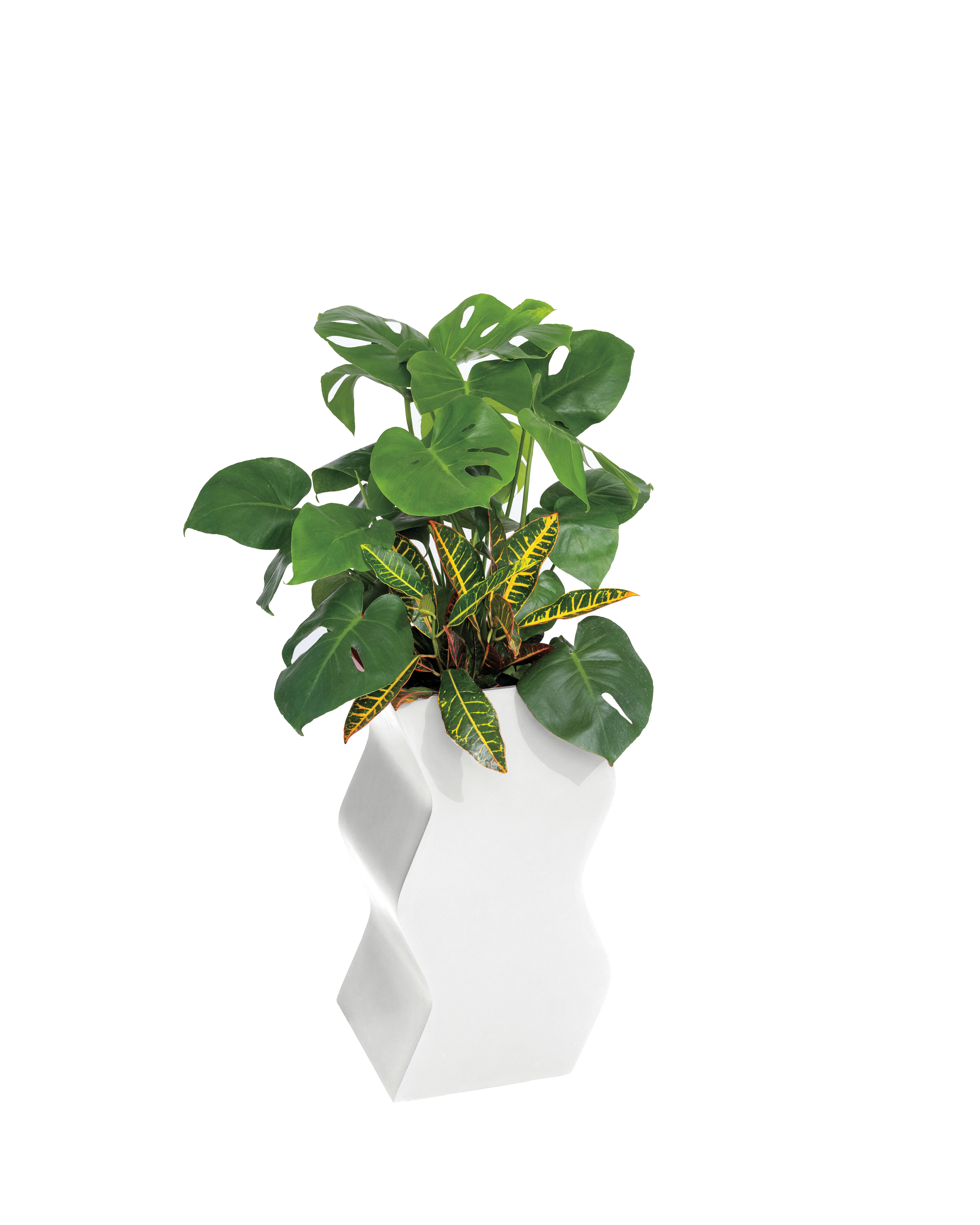 Curvy Planter