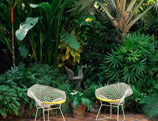 Bertoia Diamond Chair Bertoia Diamond Chair