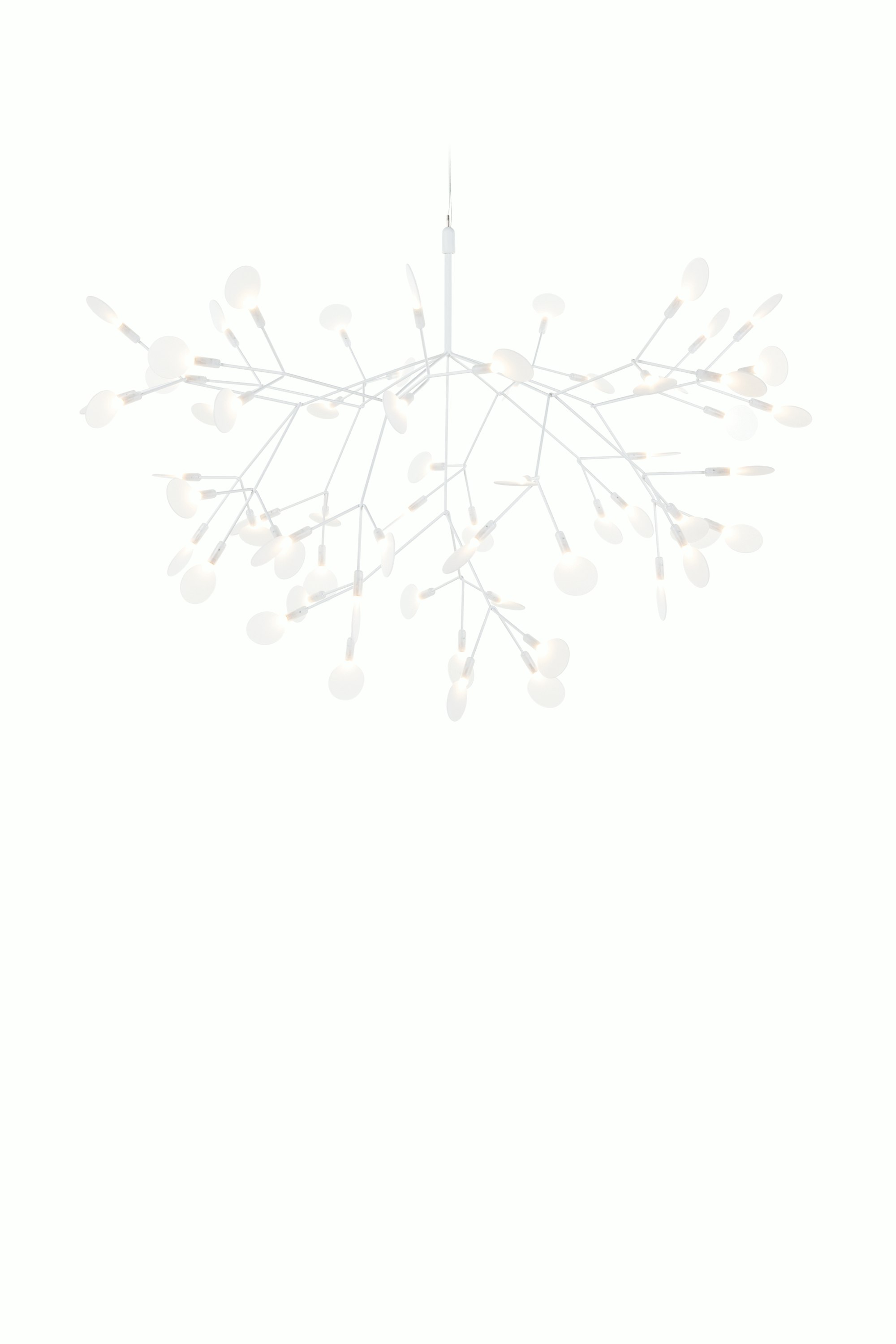 Heracleum III Pendant