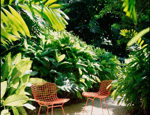 Bertoia Side Chair Bertoia Side Chair Red Outdoor Installation
