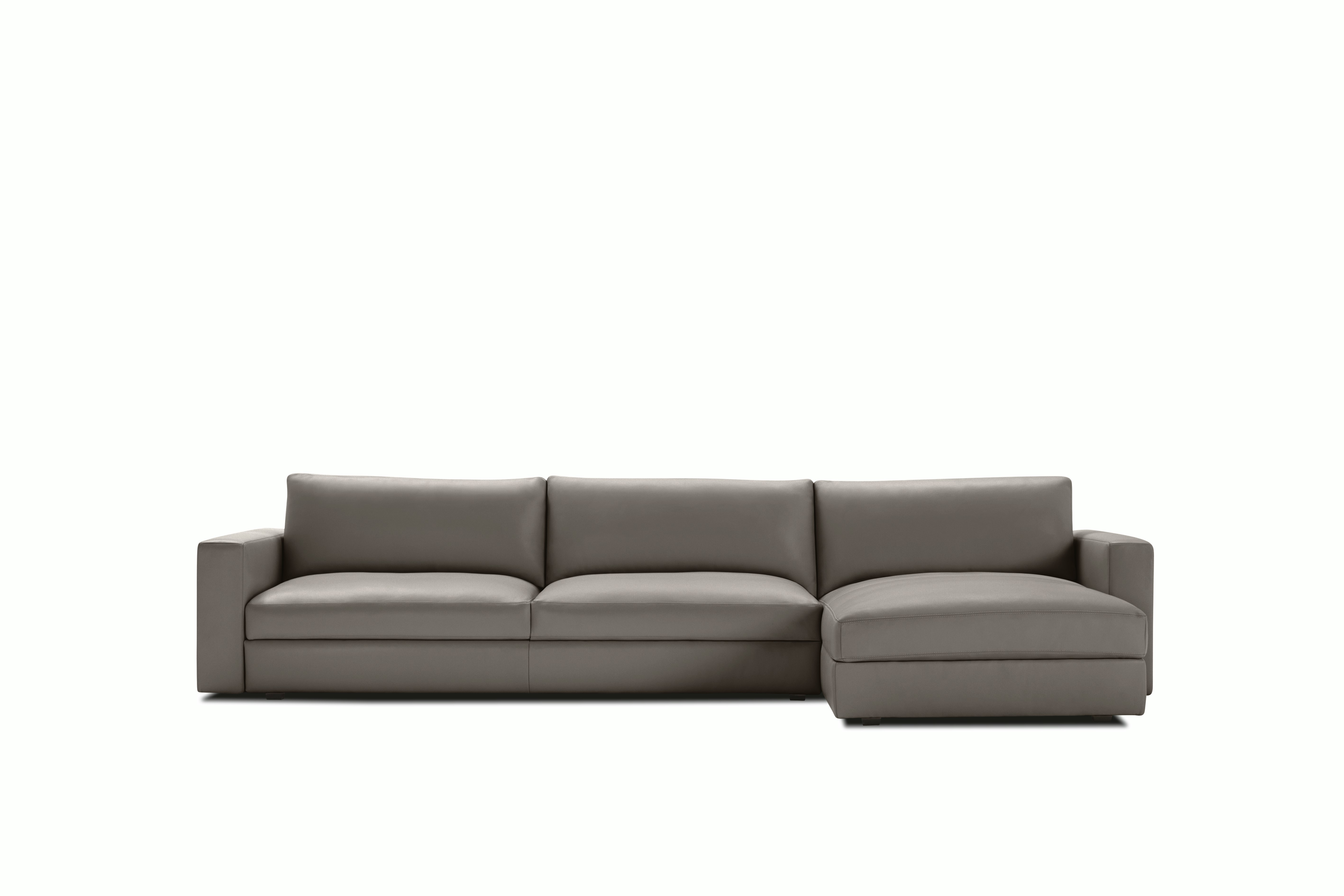Reid Sleeper Storage Sectional