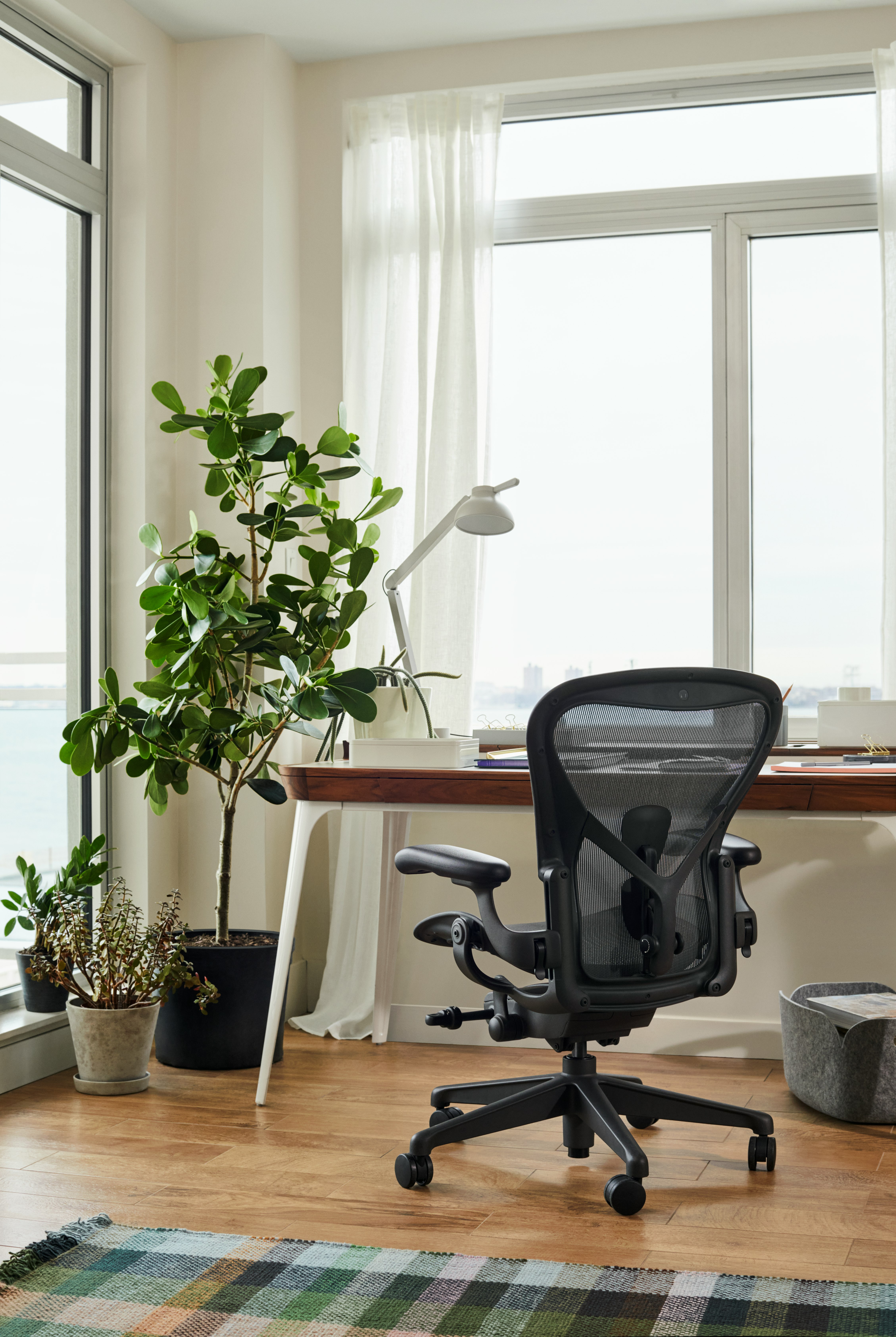Close up of Aeron in a home office