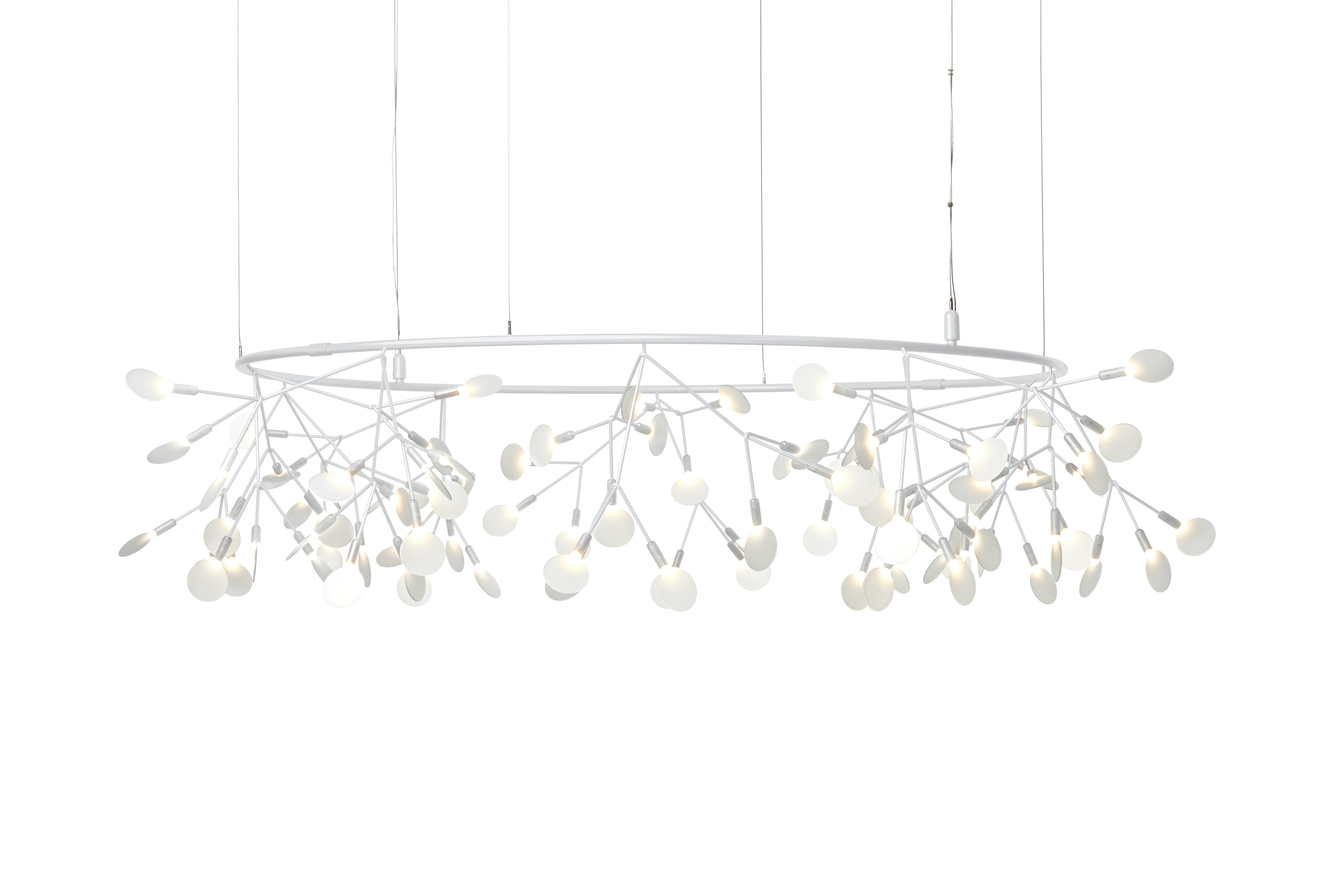 Heracleum The Big O Pendant, Small