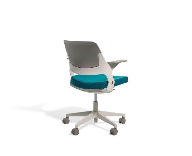 Ollo with Shell Back | Knoll