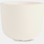 Cup Planter