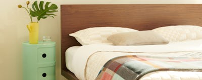 Pillows, Throws + Blankets