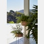 Umanoff Planter