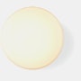 AJ Eklipta Outdoor Wall Lamp