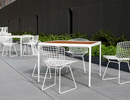 Outdoor Bertoia and Schultz 1966 Collection  Bertoia Side Chair Richard Schultz 1966 Dining Barstool 1966 Dining Table outdoor community shared spaces