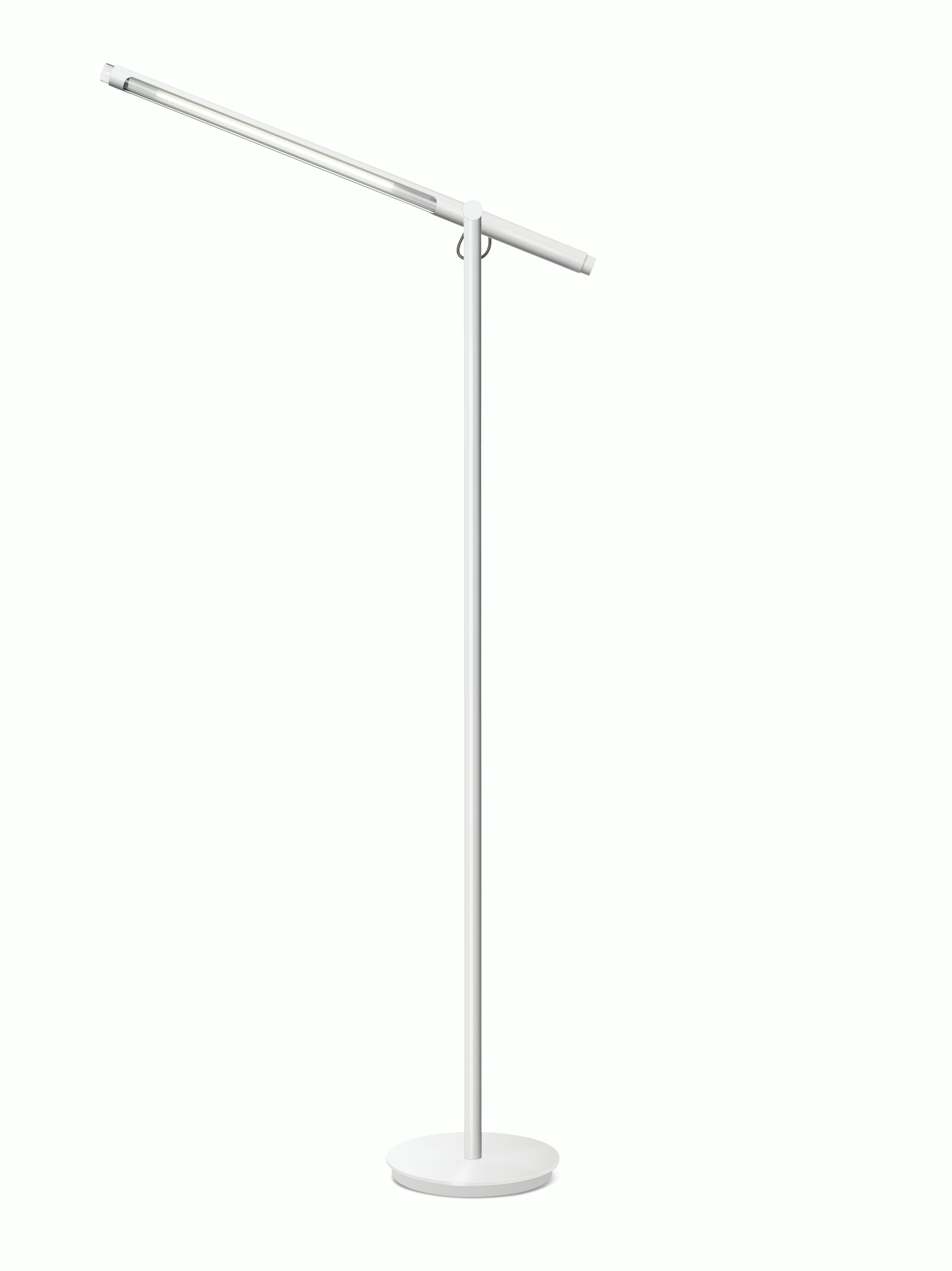 Brazo Floor Lamp