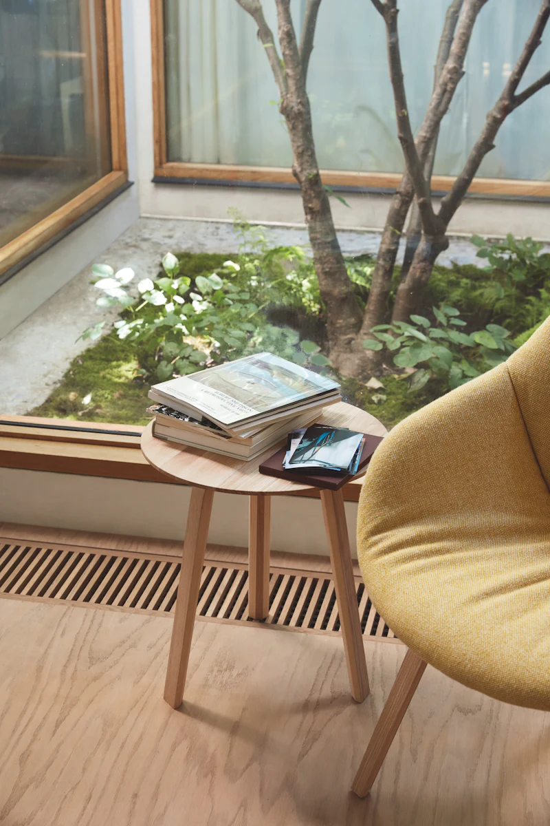 Indoor scene with a tree outside a window, a small round wooden table with magazines on top