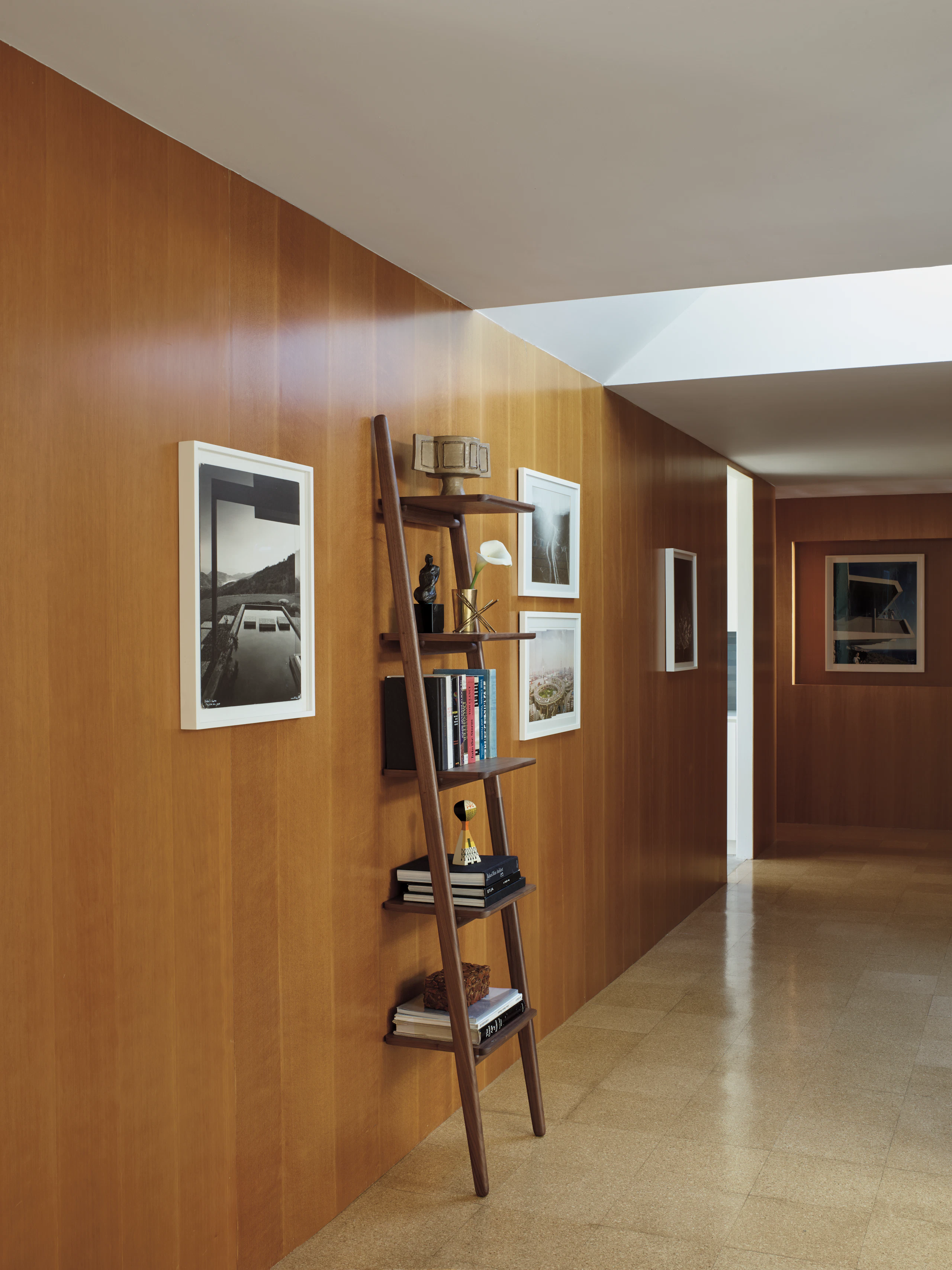 Folk Ladder Shelving