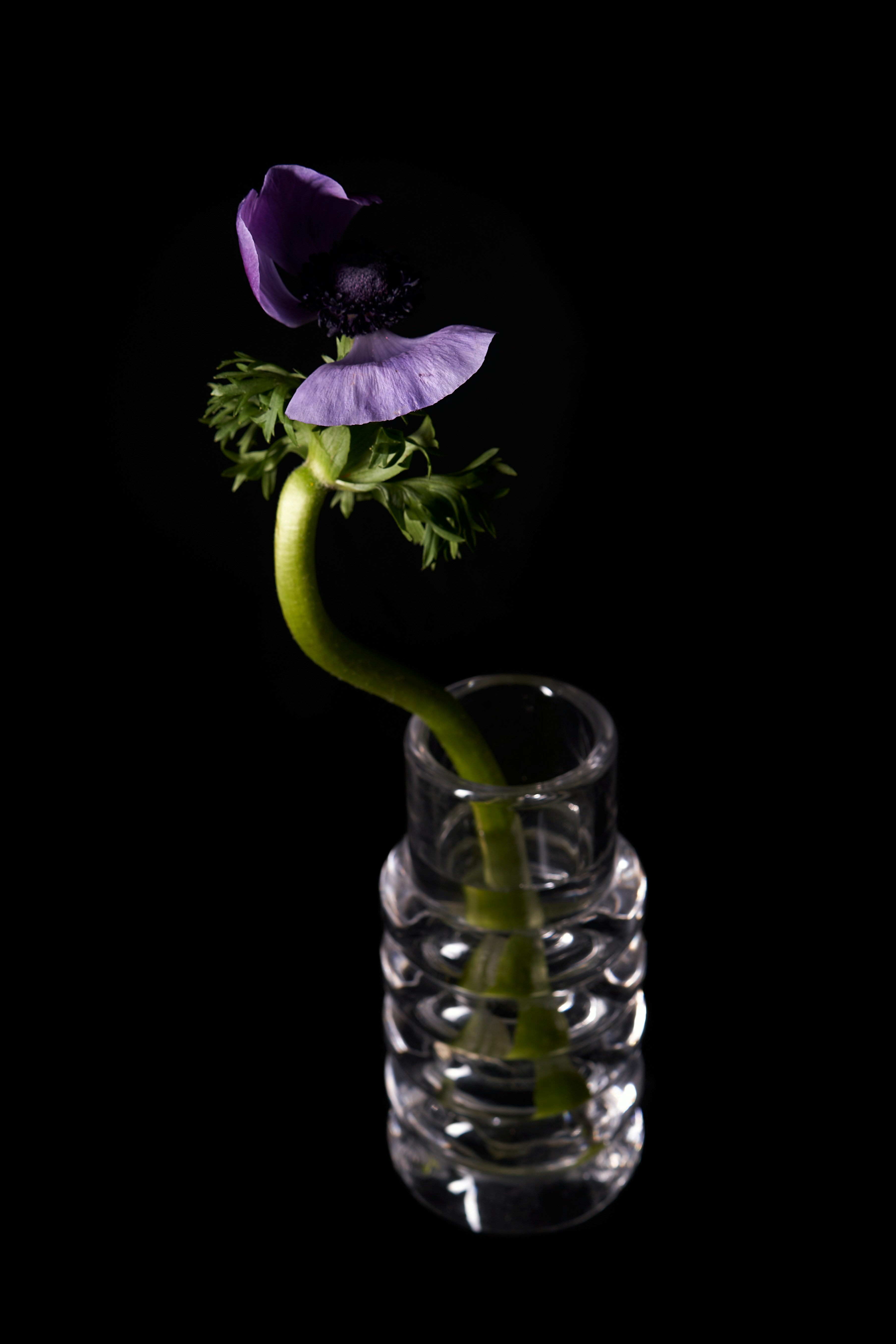 Press Stem Vase