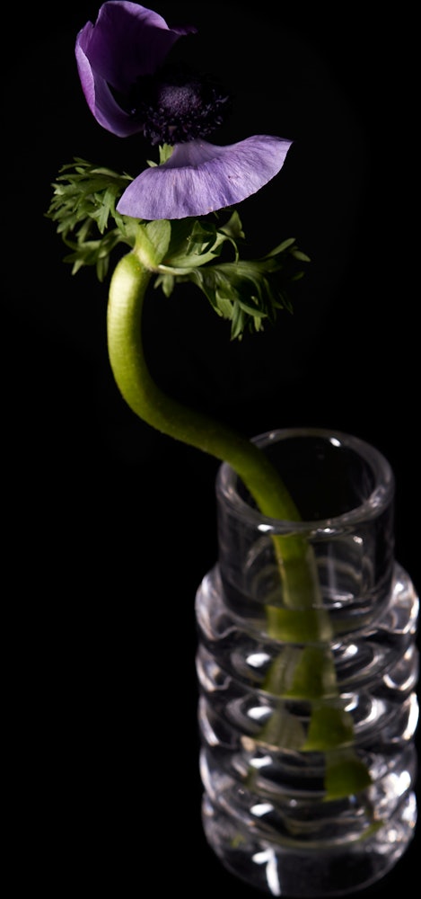 Press Stem Vase