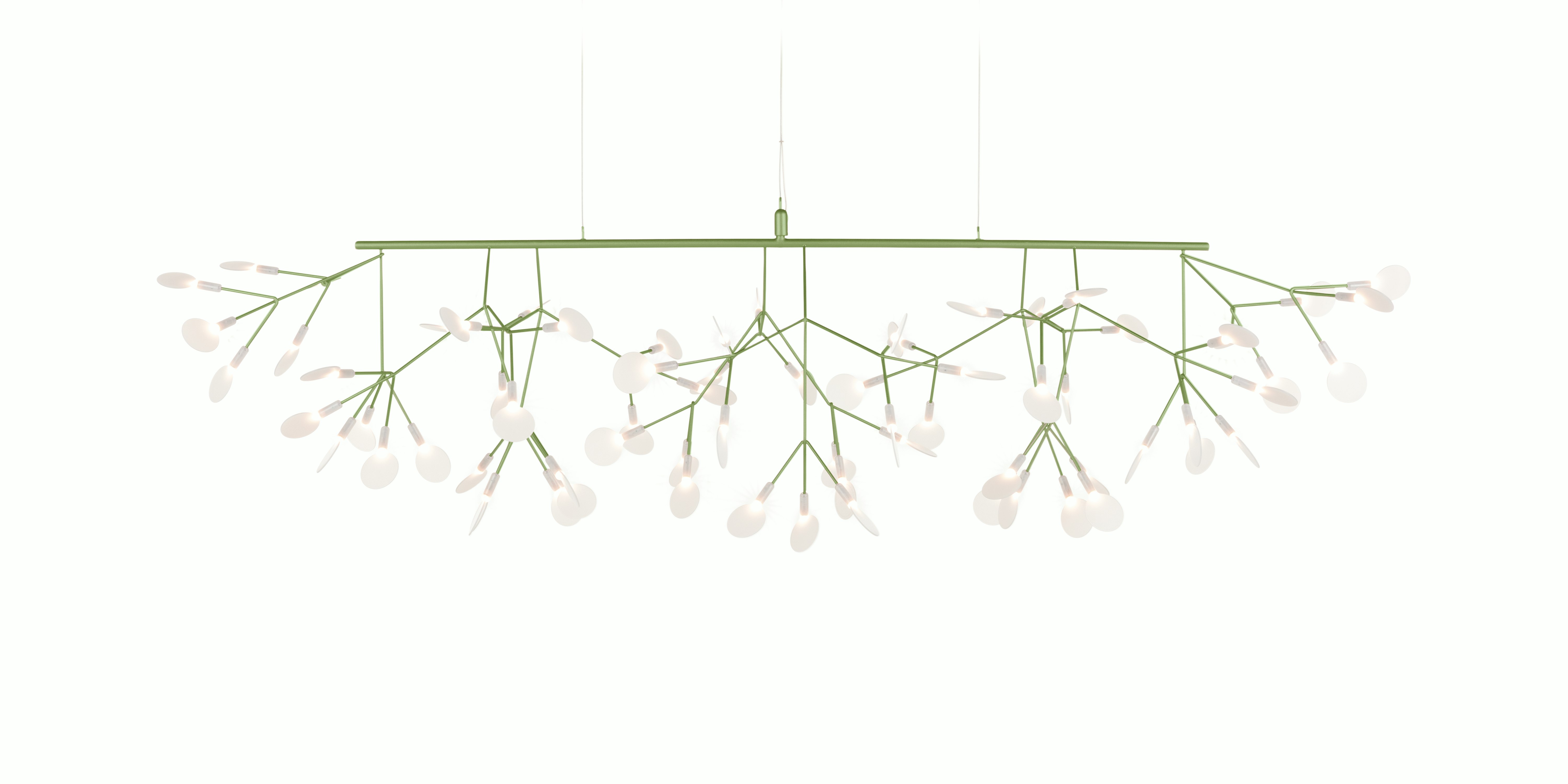 Heracleum Linear III Pendant