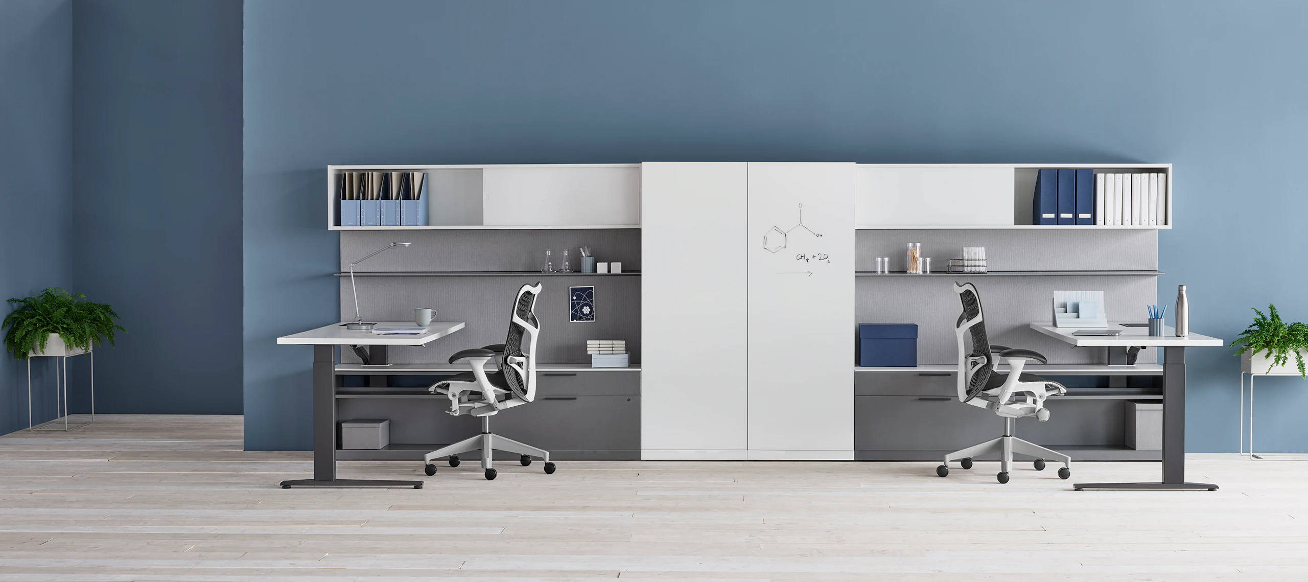 A shared Canvas Private Office with white and grey storage, height adjustable desks, and black Mirra 2 chairs.