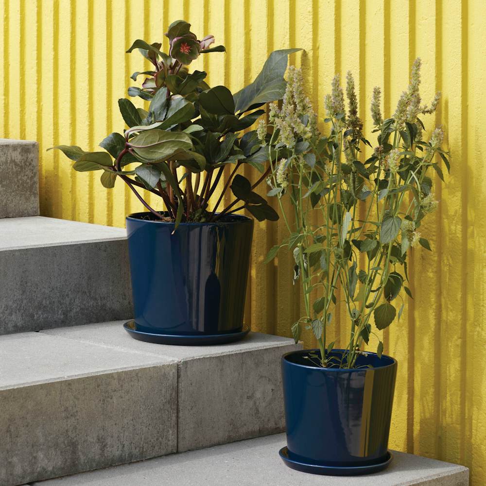 Botanical Family Set Planters in an outdoor stairway setting