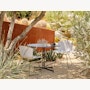 Bertoia Molded Shell Side Chair