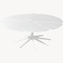 Petal Coffee Table