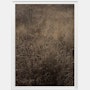 Golden No. 8836 by Cas Friese,  30 x 40,  White Frame