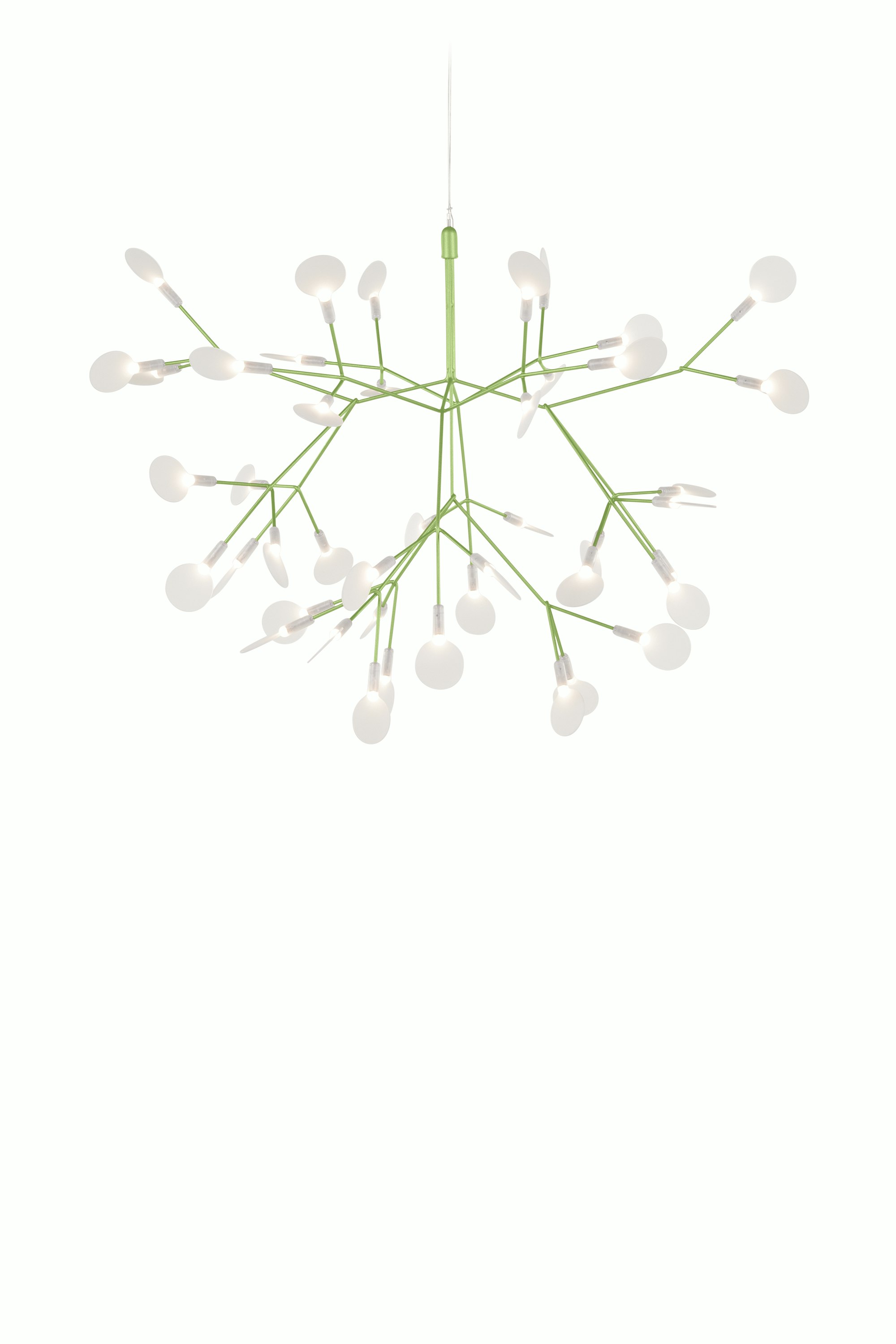 Heracleum III Pendant