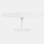 Saarinen Outdoor Oval Dining Table