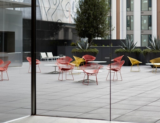 Outdoor Bertoia Diamond Chair and Schultz Petal Coffee Table Bertoia Diamond Chair Richard Schultz Petal Coffee Table 1966 collection 1966 lounge chair 1966 coffee table outdoor community shared spaces
