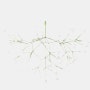 Heracleum III Pendant