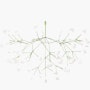 Heracleum III Pendant Heracleum III Pendant