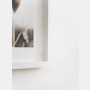 Cas Friese Photography Collection