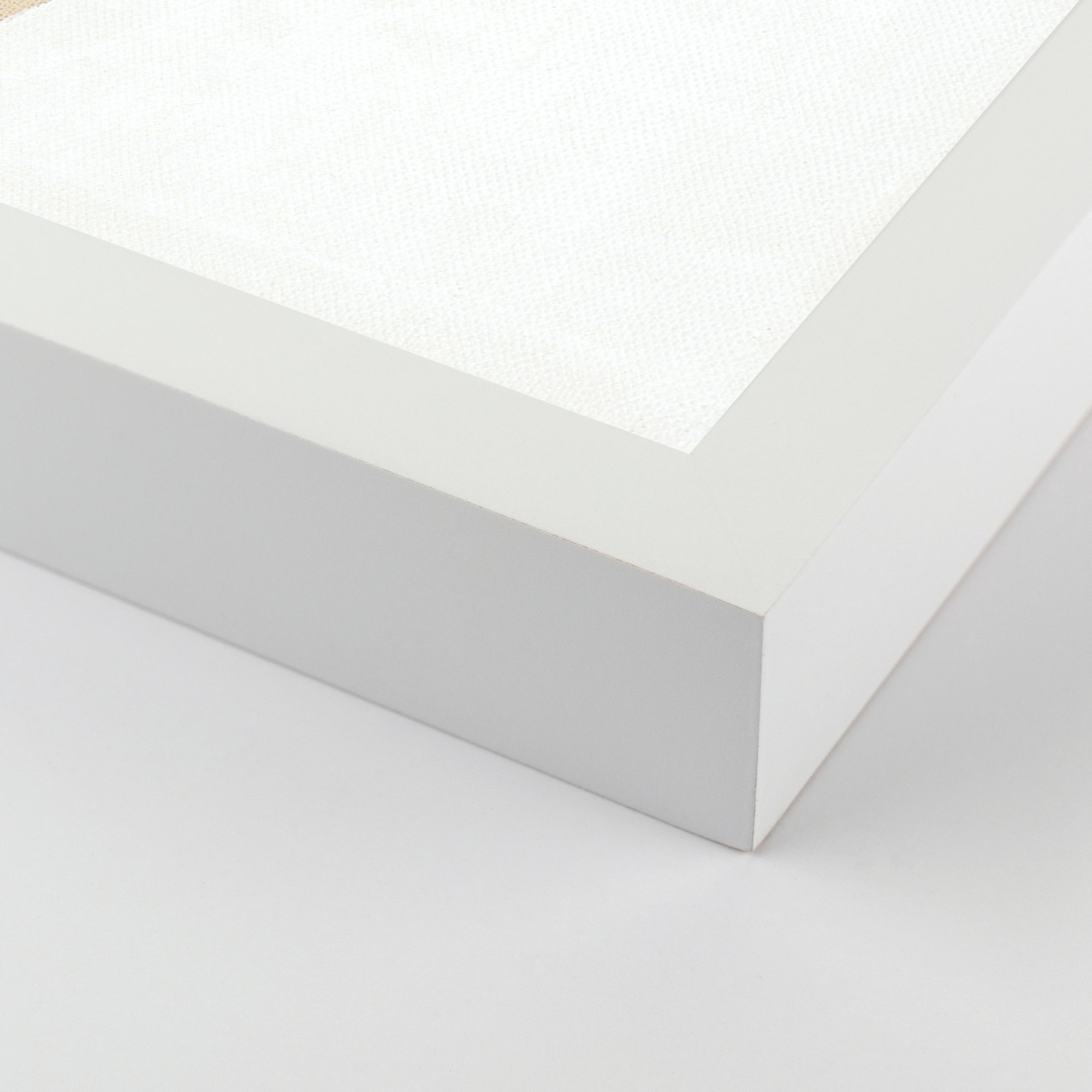 Small White Ray I by Aschely Vaughan Cone