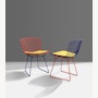 Bertoia Two-Toned Side Chair