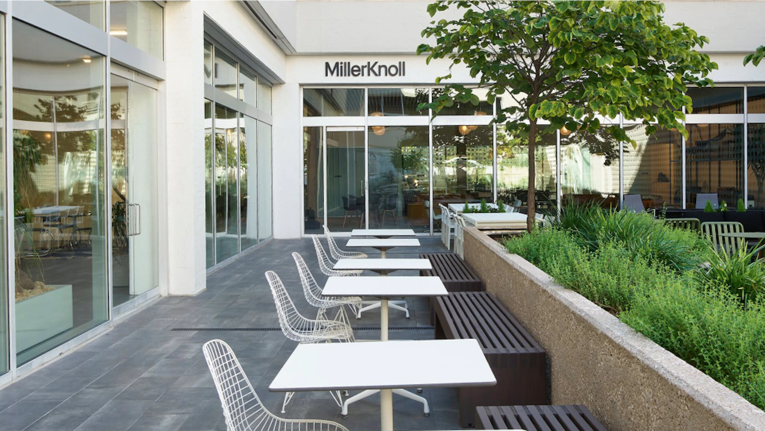 Several white Eames Wire Chairs by Herman Miller arranged at tables next to green foliage outside the MillerKnoll Dallas showroom