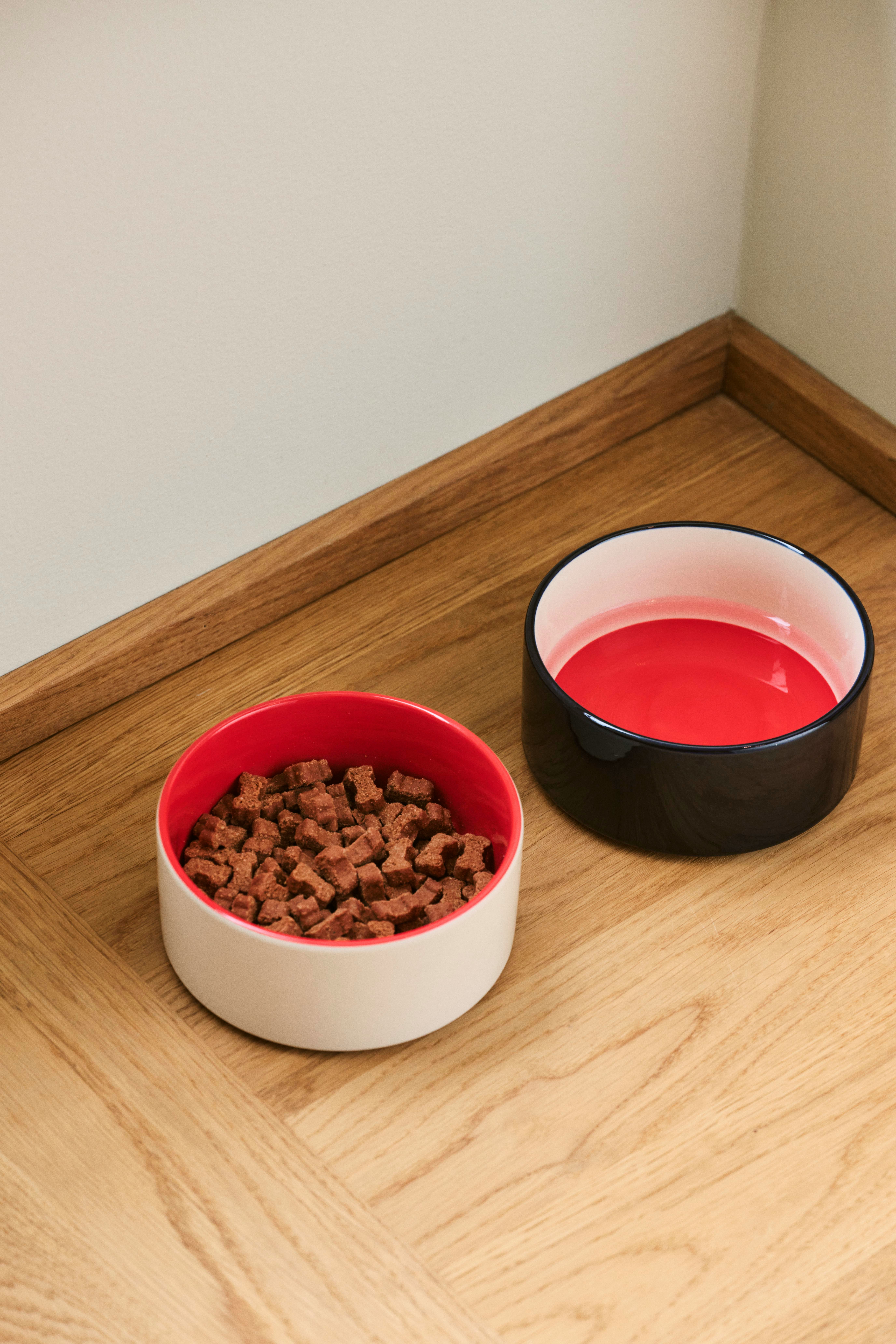 Dog Bowl