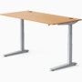 Jarvis Bamboo Standing Desk Jarvis Bamboo Standing Desk, Rectangle