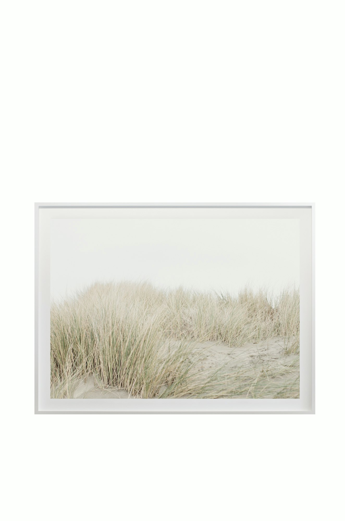 &ldquo;Dunes No. 7100&rdquo; by Cas Friese